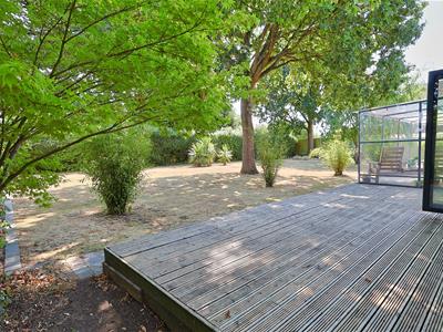 Picture 22